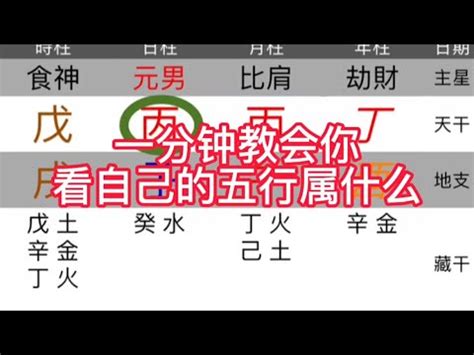 天運五行屬什麼|【天運五行計算】深入探索天機！天運五行計算，解開您的命運密。